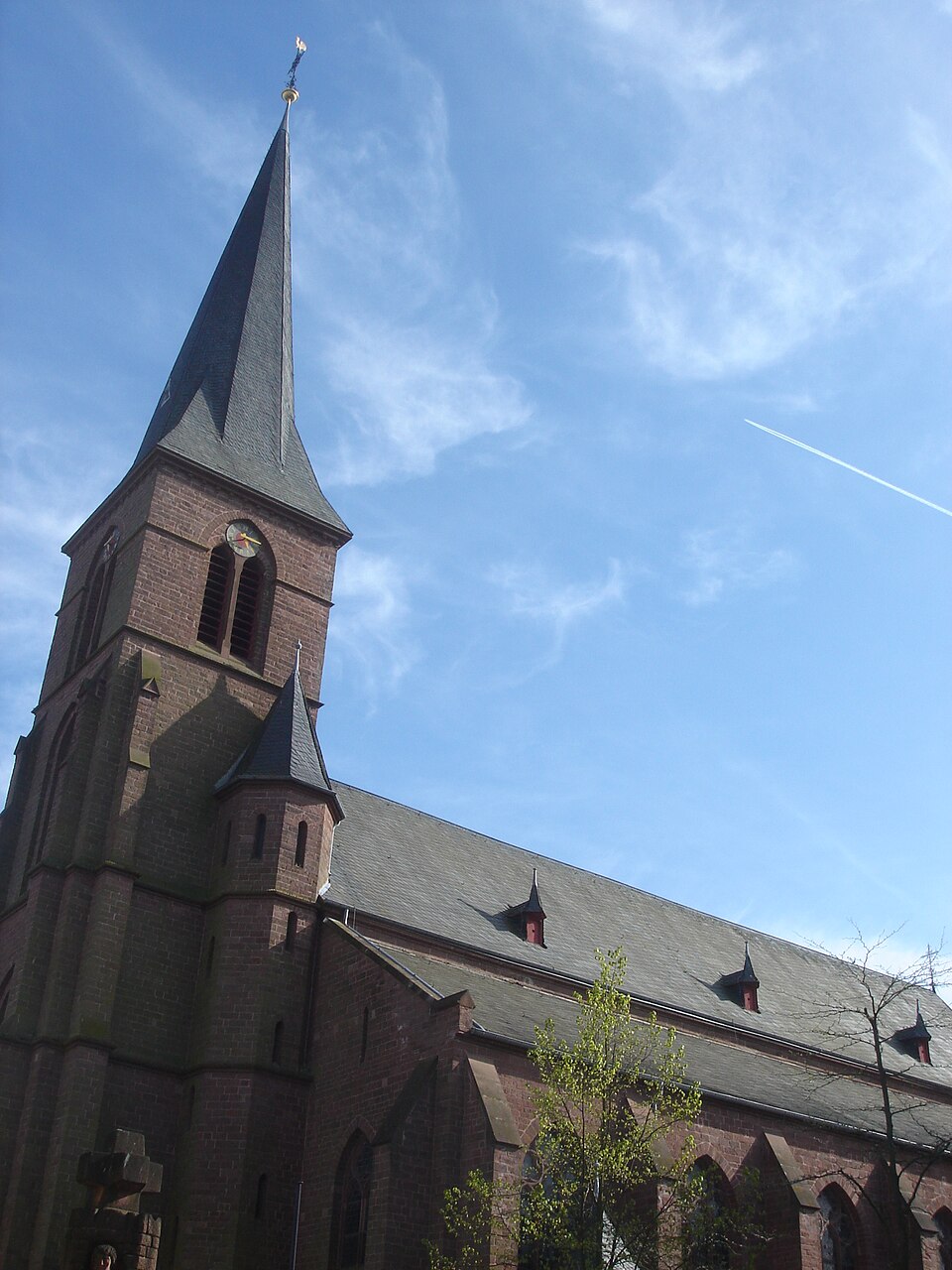 Fenster-Gurus in Speicher – Ansicht von Speicher