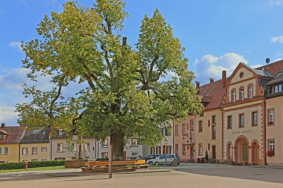 Kloster in St. Peter – Fenster-Gurus vermittelt Fachbetriebe in St. Peter