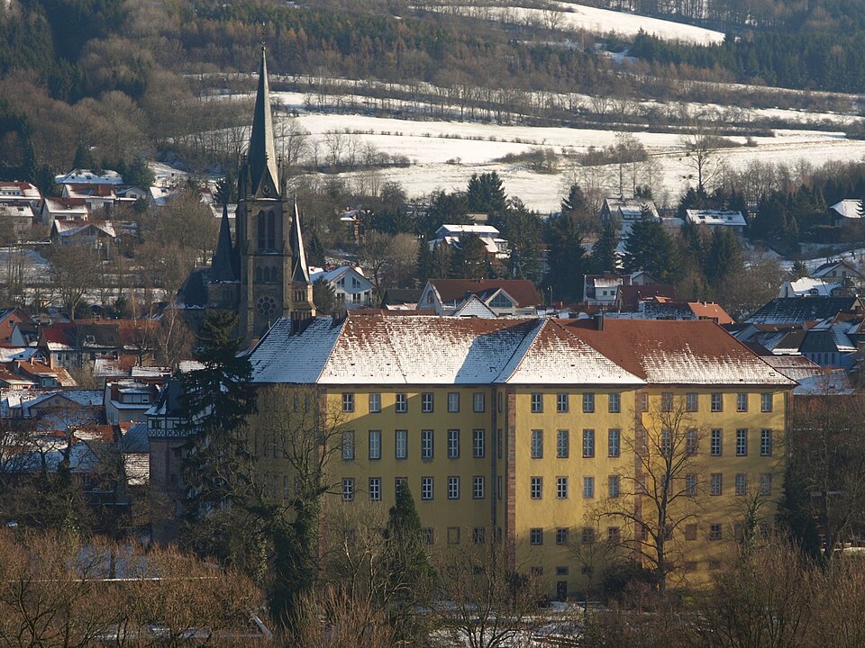 Fenster-Gurus in Tann – Ansicht von Tann