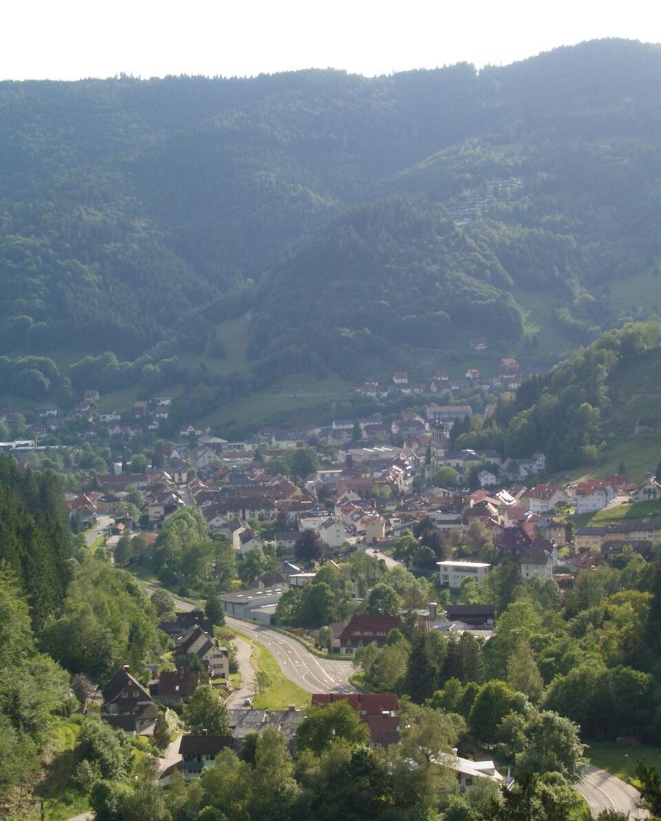 Fenster-Fachbetriebe in Todtnau: Stadtansicht