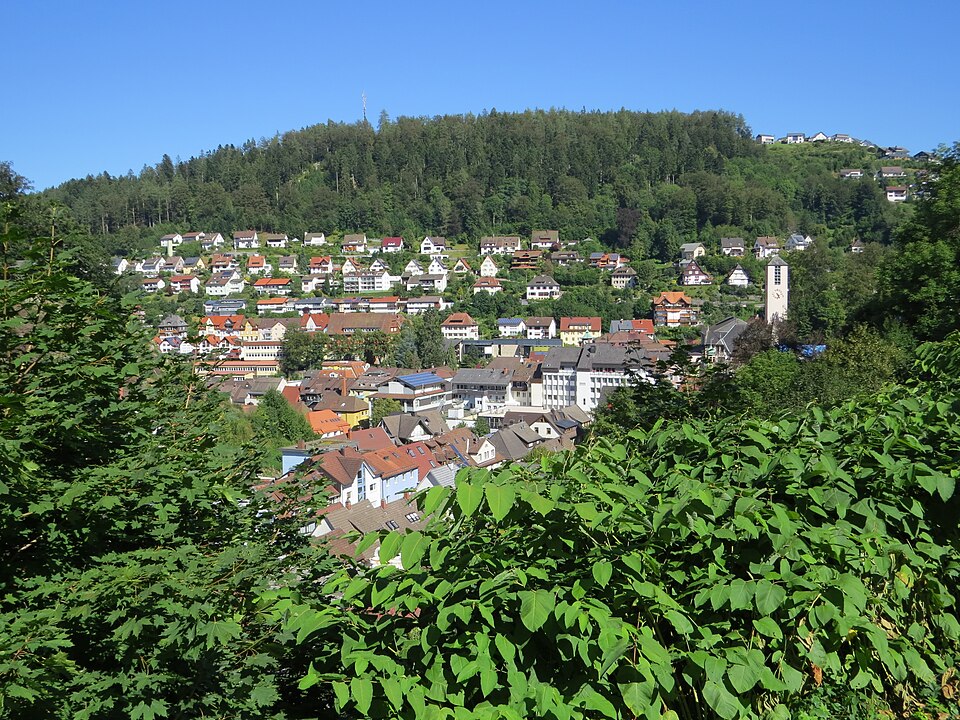 Fenster-Fachbetriebe in Triberg: Stadtansicht – Foto: Flodur63 Fenster-Fachbetriebe in Triberg: Stadtansicht