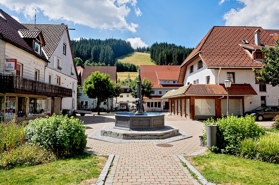 Fenster-Gurus in Vöhrenbach – Ansicht von Vöhrenbach