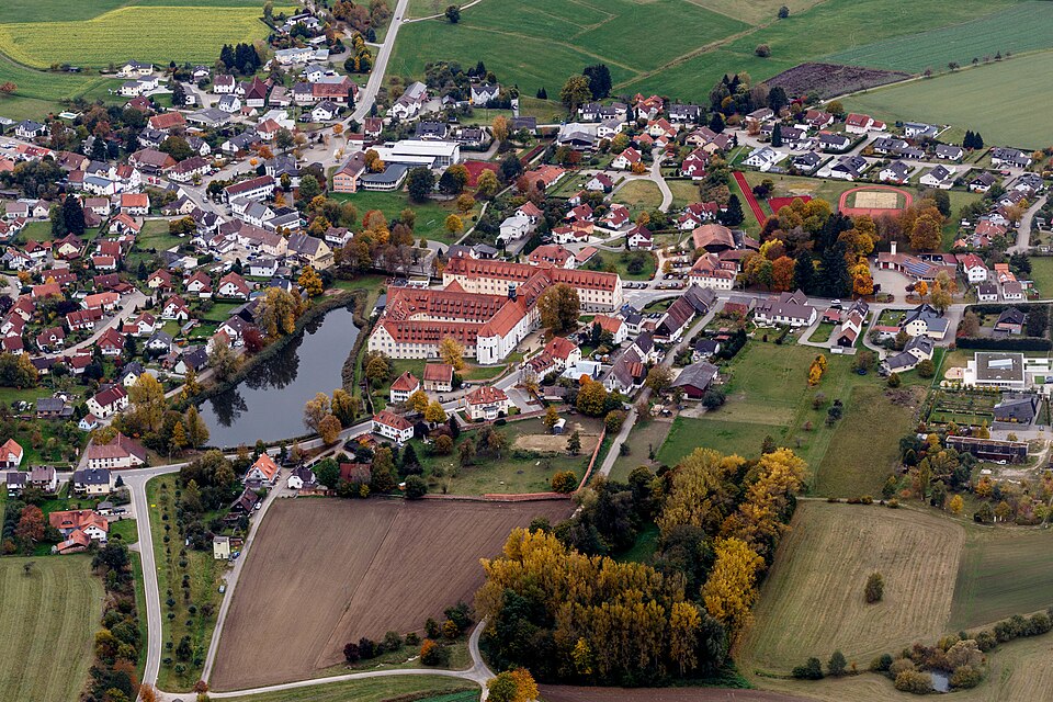 Fenster-Gurus in Wald – Ansicht von Wald