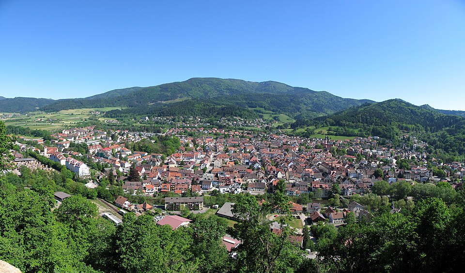 Fenster-Fachbetriebe in Waldkirch: Panorama