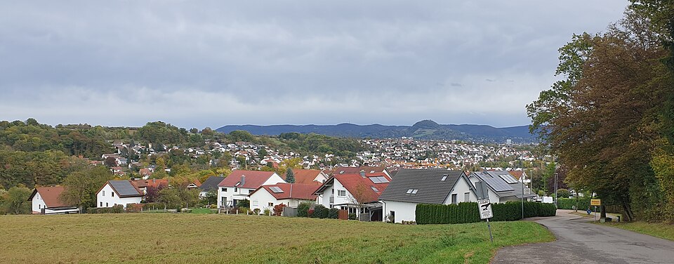 Fenster-Fachbetriebe in Wannweil: Stadtansicht