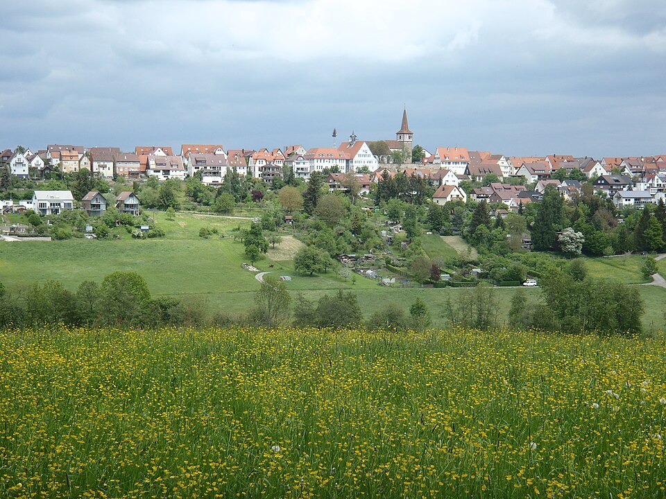 Fenster-Fachbetriebe in Weil im Schönbuch: Stadtansicht