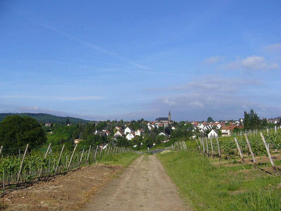 Fenster-Gurus in Weiler bei Bingen – Panorama (Foto: Ulrike Männer) Panorama in Weiler bei Bingen – Fenster-Gurus vermittelt Fachbetriebe in Weiler bei Bingen