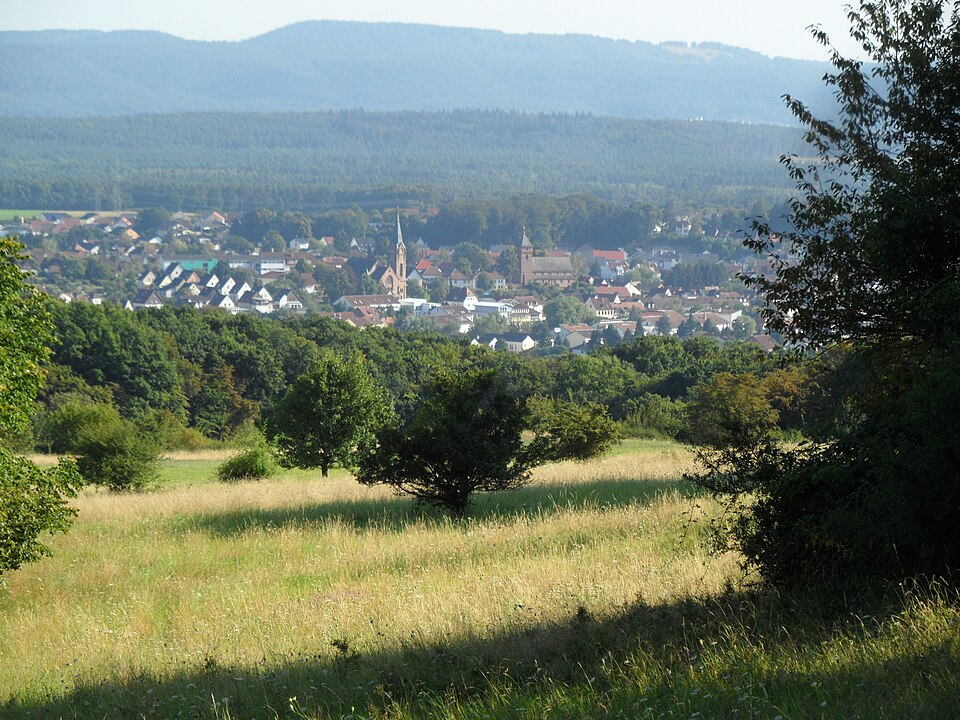 Fenster-Gurus in Weilerbach – Ansicht von Weilerbach