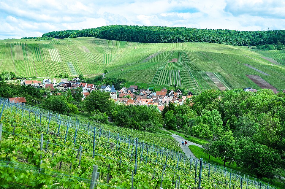 Fenster-Fachbetriebe in Weinstadt: Stadtansicht – Foto: R.kaelcke Fenster-Fachbetriebe in Weinstadt: Stadtansicht