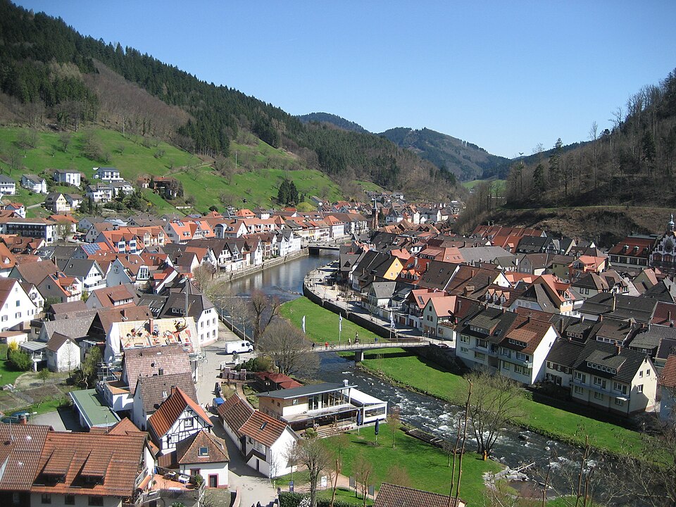Fenster-Fachbetriebe in Wolfach: Stadtansicht